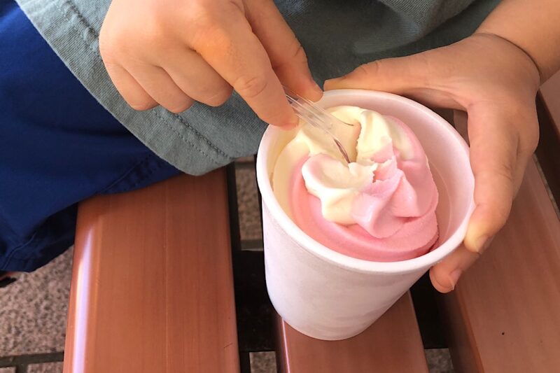 「伊豆シャボテン動物公園」サボテンの赤い実ソフトクリーム
