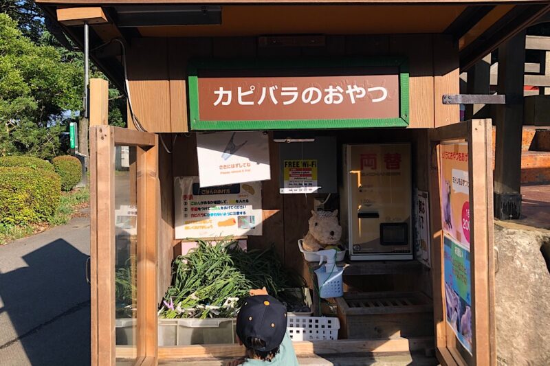 「伊豆シャボテン動物公園」カピバラのおやつ売り場