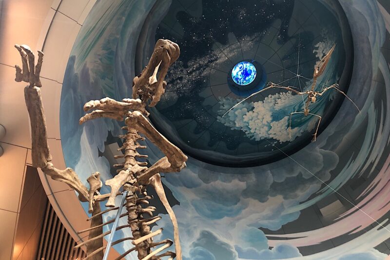 「生命の星・地球博物館」