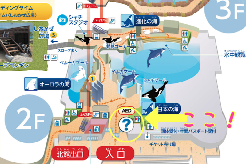 名古屋港水族館のオリジナル御朱印帳と魚朱印がカワイイ！どこで買える？