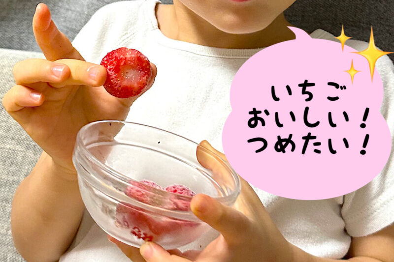 愛知県産冷凍いちご
希少品種よつぼし
子供と食べた感想