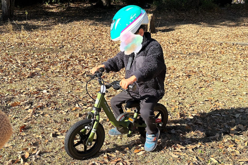 デュアルライダーバイディーバイクのレビュー｜4歳・3歳を乗せてみた感想