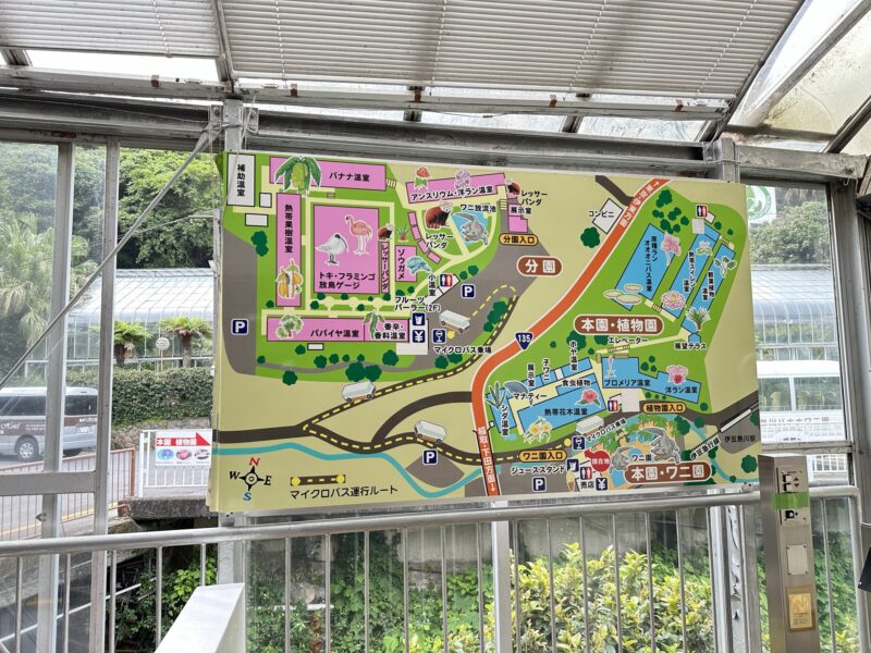熱川バナナワニ園と、周辺観光。子連れの所要時間や割引クーポンなど