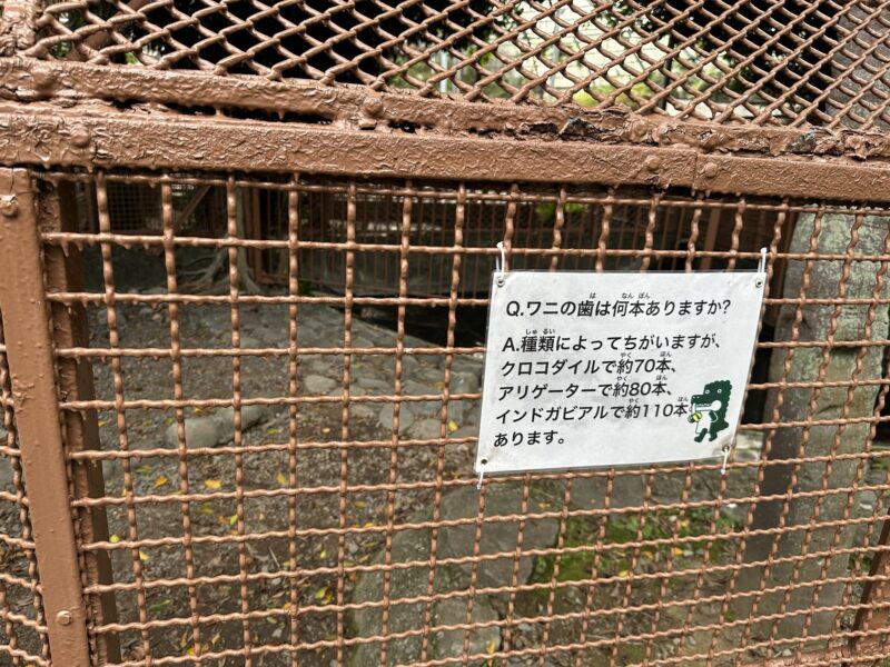 熱川バナナワニ園と、周辺観光。子連れの所要時間や割引クーポンなど