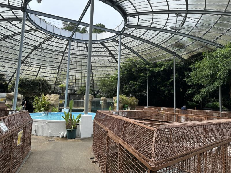 熱川バナナワニ園と、周辺観光。子連れの所要時間や割引クーポンなど