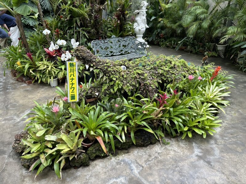 熱川バナナワニ園と、周辺観光。子連れの所要時間や割引クーポンなど