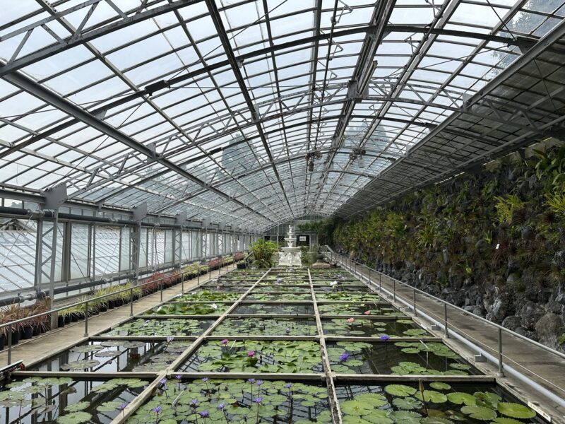 熱川バナナワニ園と、周辺観光。子連れの所要時間や割引クーポンなど