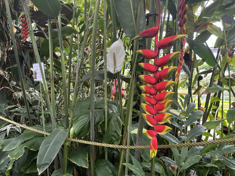 熱川バナナワニ園と、周辺観光。子連れの所要時間や割引クーポンなど