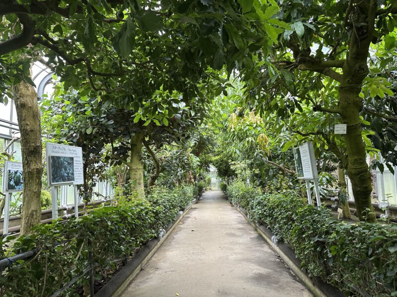 熱川バナナワニ園と、周辺観光。子連れの所要時間や割引クーポンなど