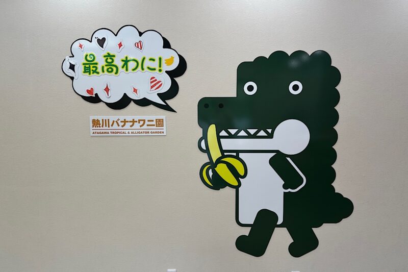 熱川バナナワニ園と、周辺観光。子連れの所要時間や割引クーポンなど