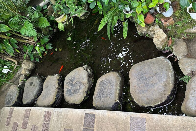 熱川バナナワニ園と、周辺観光。子連れの所要時間や割引クーポンなど