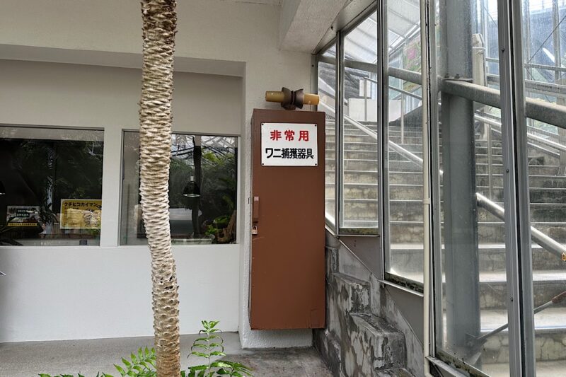 熱川バナナワニ園と、周辺観光。子連れの所要時間や割引クーポンなど