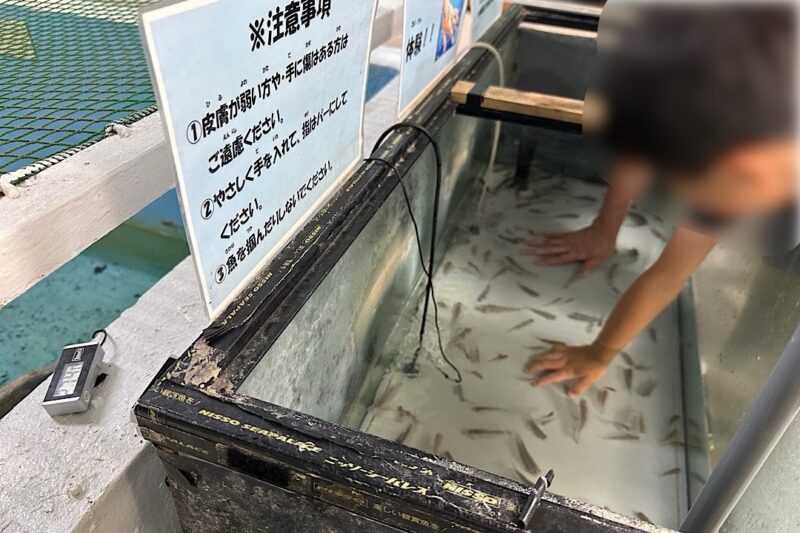 熱川バナナワニ園と、周辺観光。子連れの所要時間や割引クーポンなど