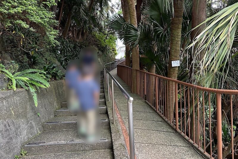 熱川バナナワニ園と、周辺観光。子連れの所要時間や割引クーポンなど