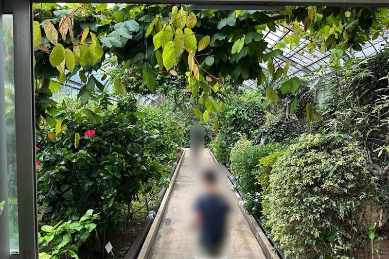 熱川バナナワニ園と、周辺観光。子連れの所要時間や割引クーポンなど