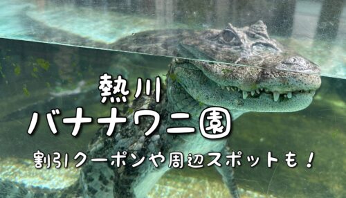 熱川バナナワニ園と、周辺観光。子連れの所要時間や割引クーポンなど